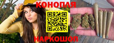 мдпв Ипатово