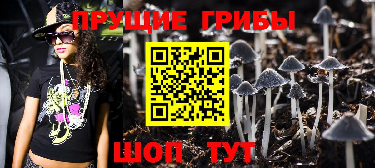 Псилоцибиновые грибы Psilocybine cubensis  Псилоцибиновые грибы мухоморы  Вход с VPN  наркота  Краснознаменск 