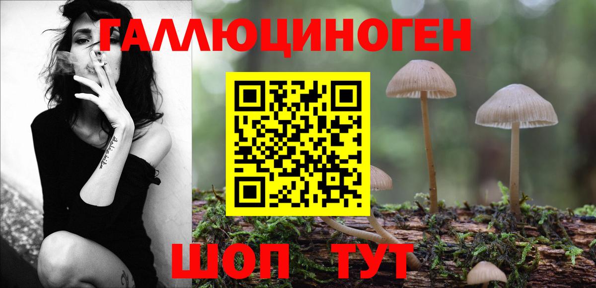 Галлюциногенные грибы MAGIC MUSHROOMS Краснознаменск